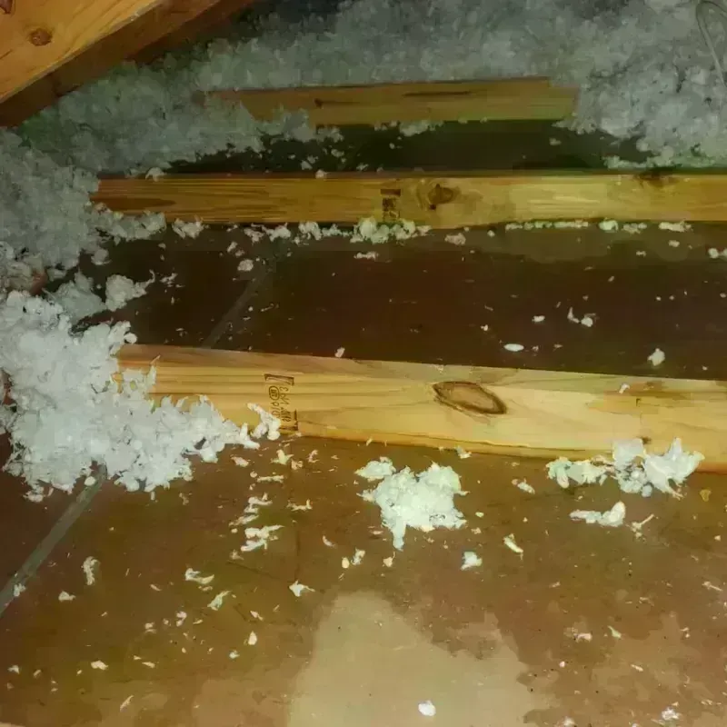 Attic Water Damage in Hull, IA